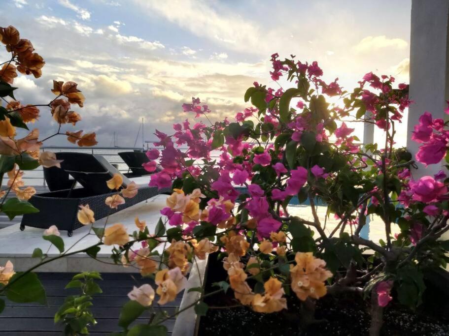 Tradewinds Apartments Simpson Bay Exterior foto